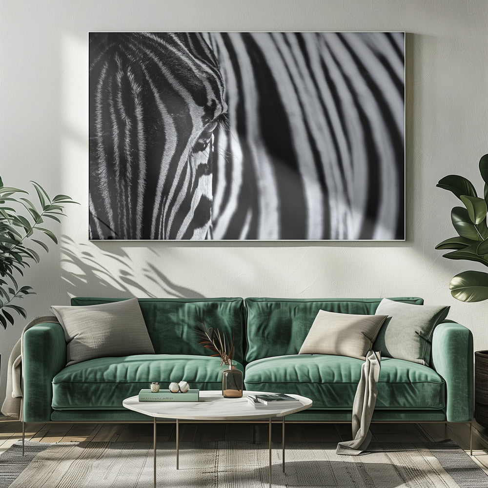 The look of nature | Canvas