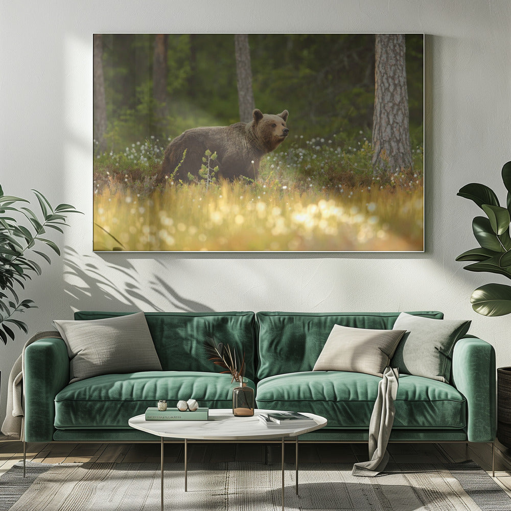 Bruine Beer | Canvas