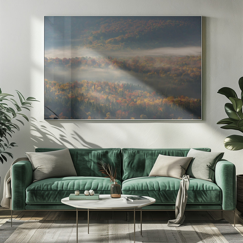 Mistige ochtend | Canvas