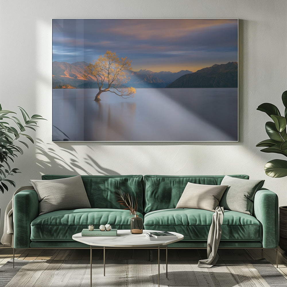 Morning Glow | Canvas