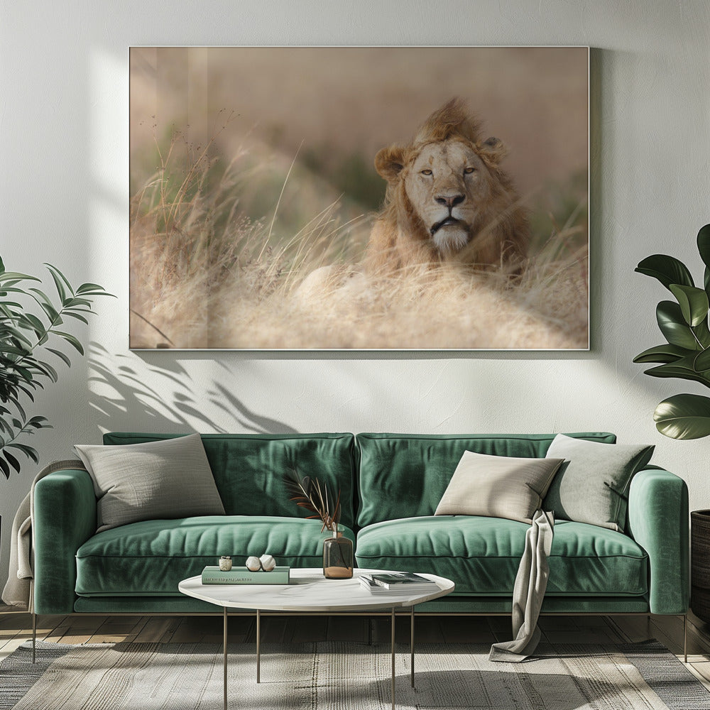 Knap! | Canvas