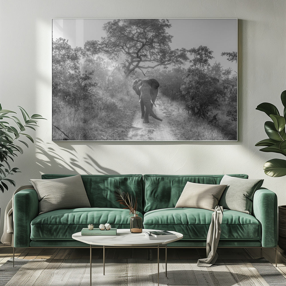 WANDELENDE REUS | Canvas