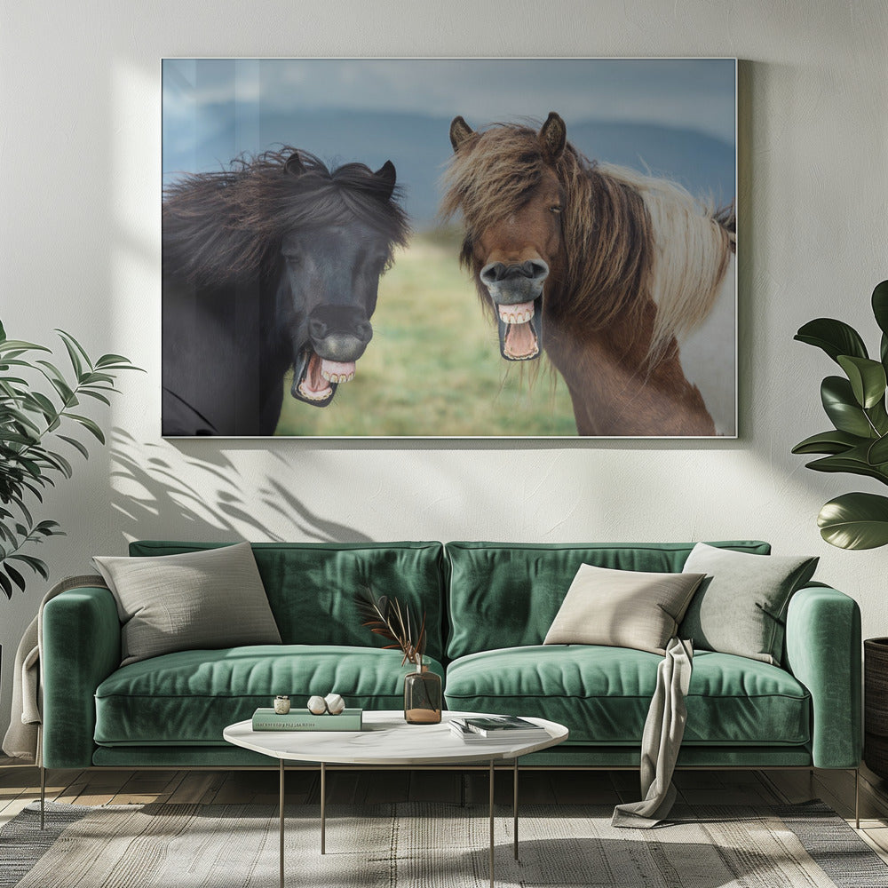 WILDE GLIMLACH | Canvas