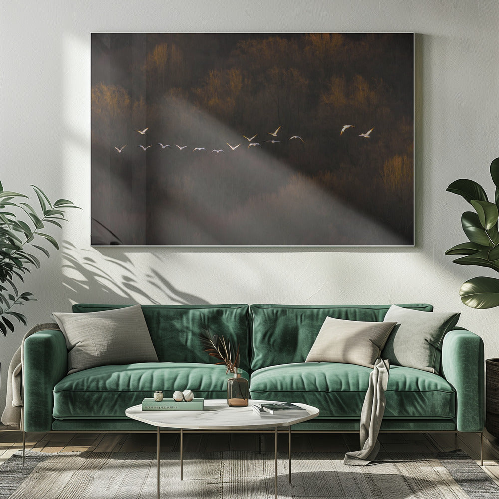 Ochtendstemming | Canvas