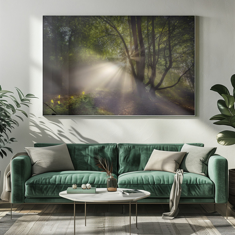 Het ochtendlicht | Canvas