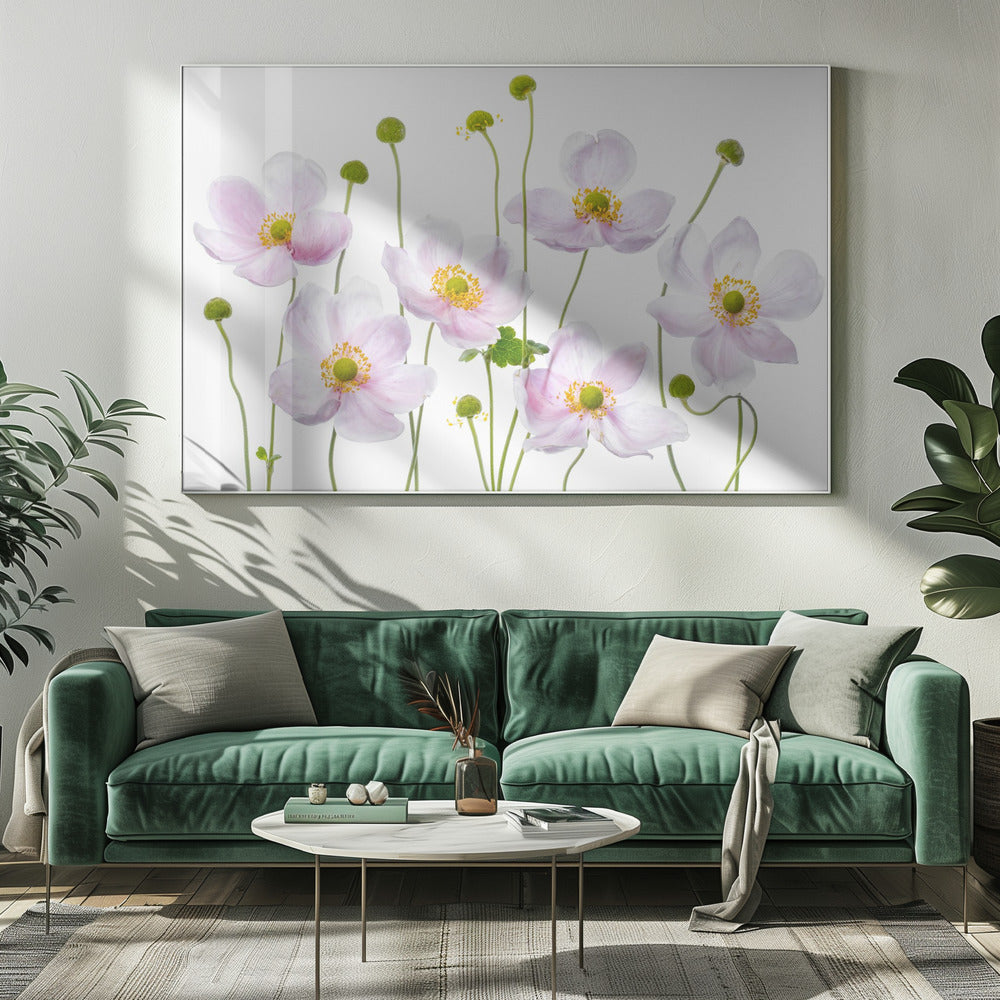 Japanse anemonen | Canvas
