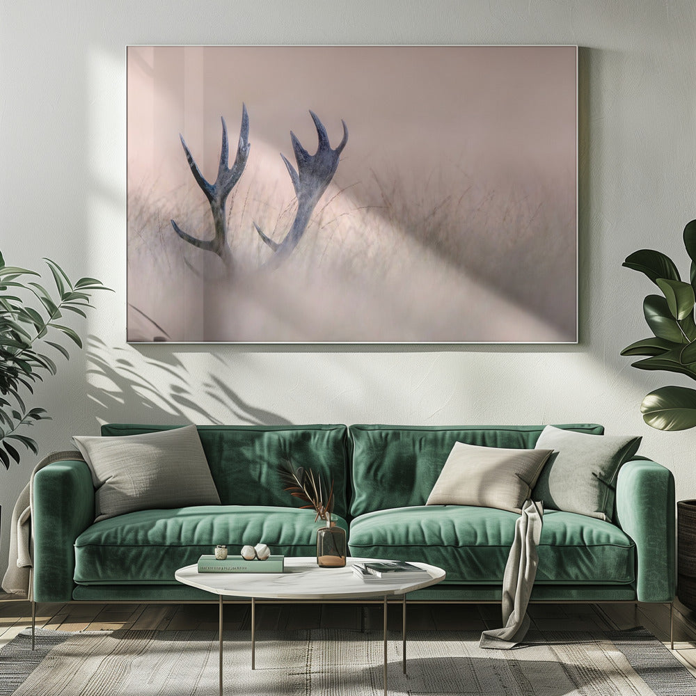 Verstoppertje (Hoorn van een hert) | Canvas