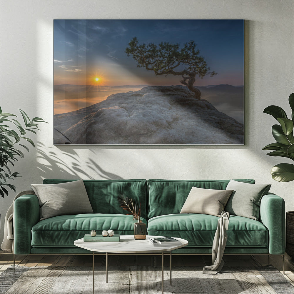 Oud grenen | Canvas