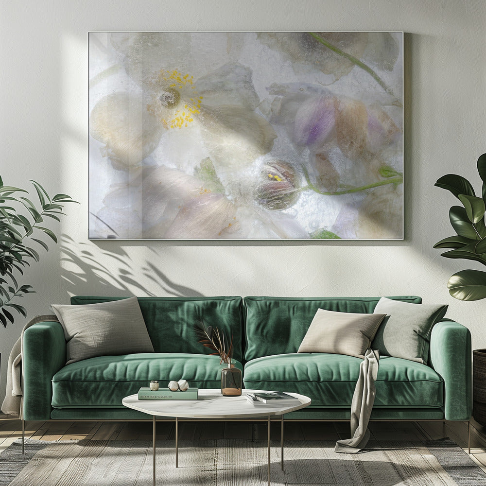 Anemoonvorst | Canvas