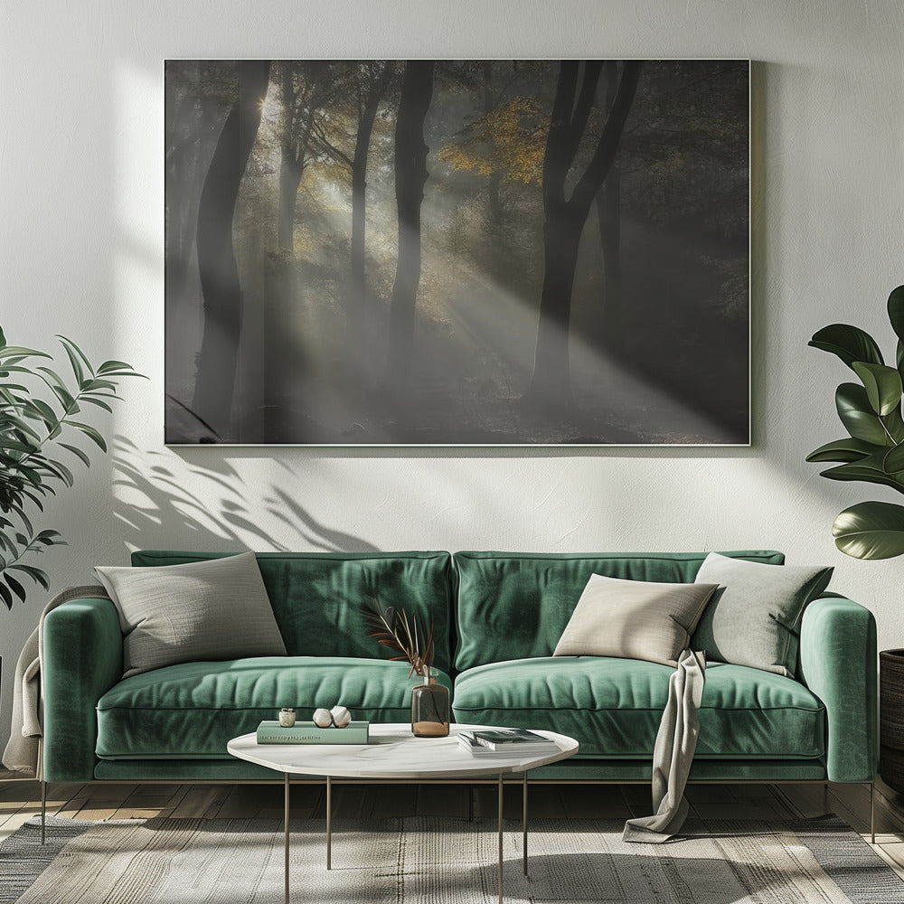Sunbeam | Canvas