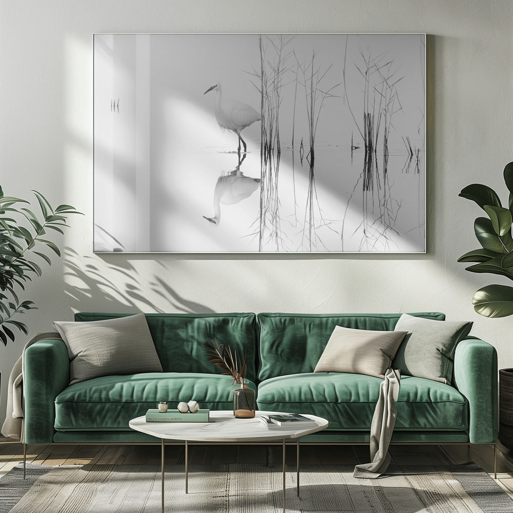 wit | Canvas