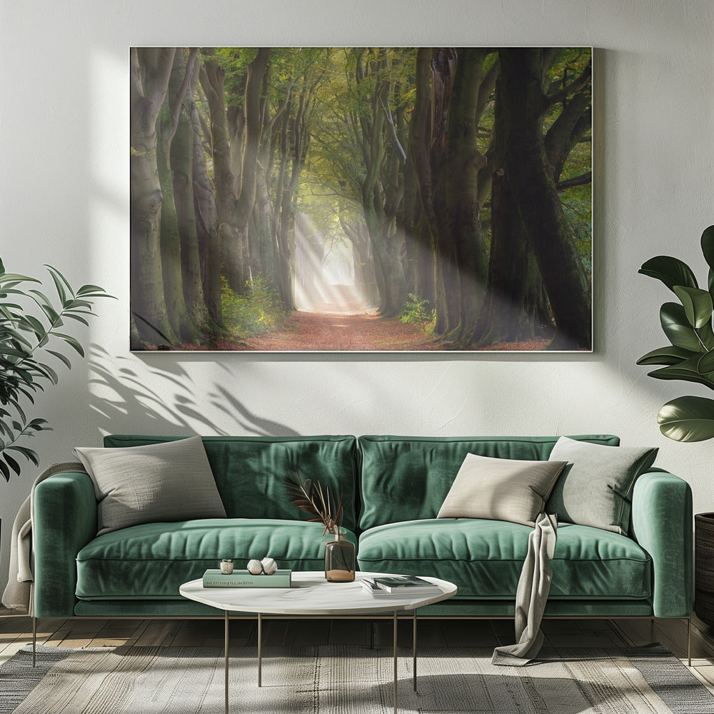 Een glorieuze dag | Canvas