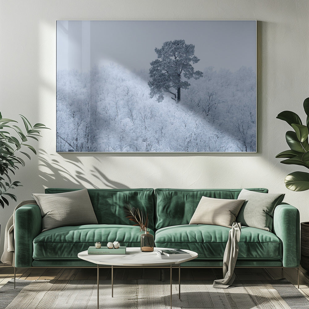 Eerste sneeuw | Canvas