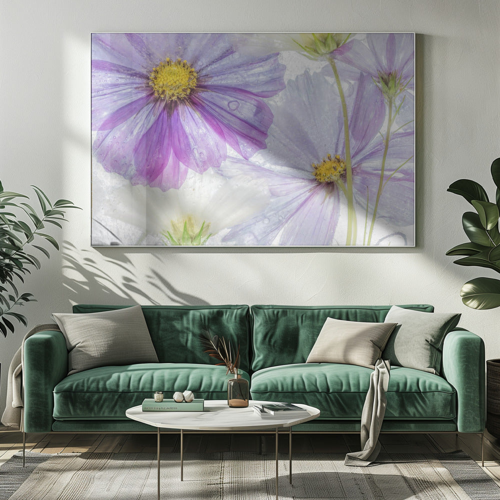 Kosmos cool | Canvas