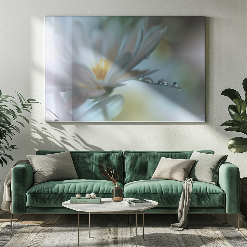 Lichte aanraking... | Canvas