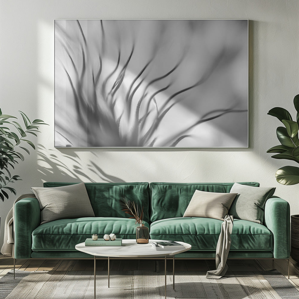 Untitled | Canvas