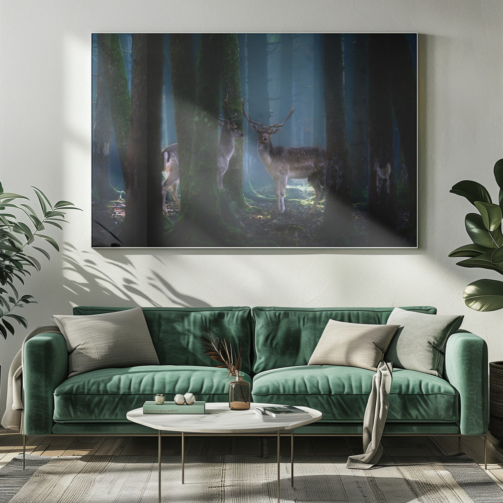 Herten | Canvas