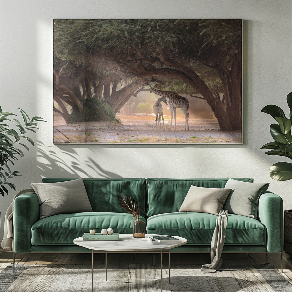Giraf - Namibië | Canvas