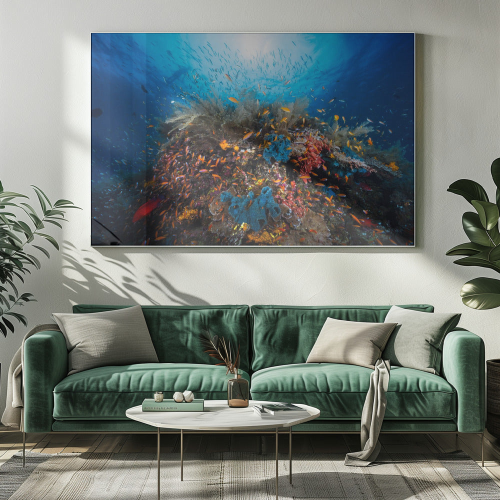 Apneu | Canvas
