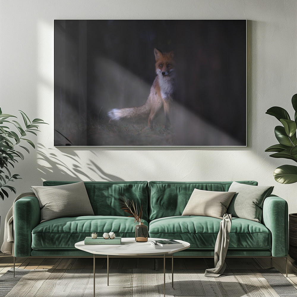 Blikken | Canvas