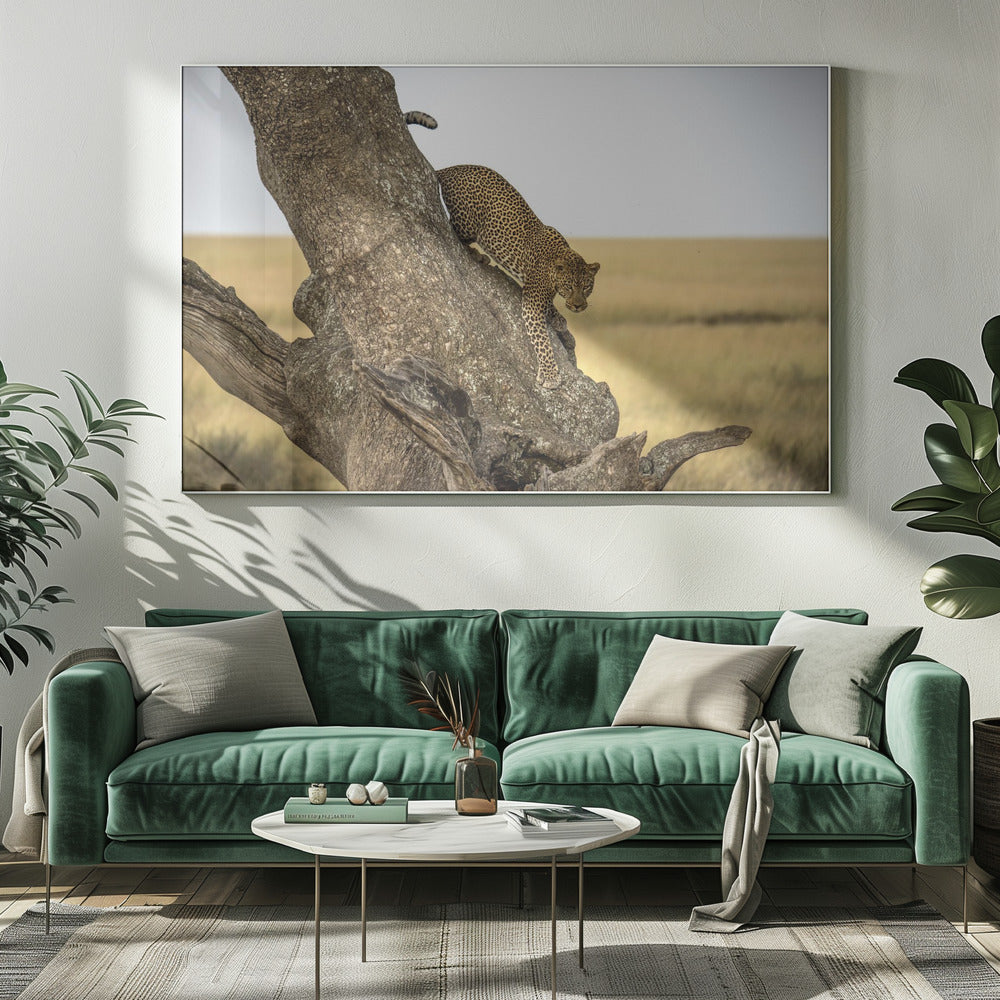 Luipaard - Serengheti, Tanzania | Canvas
