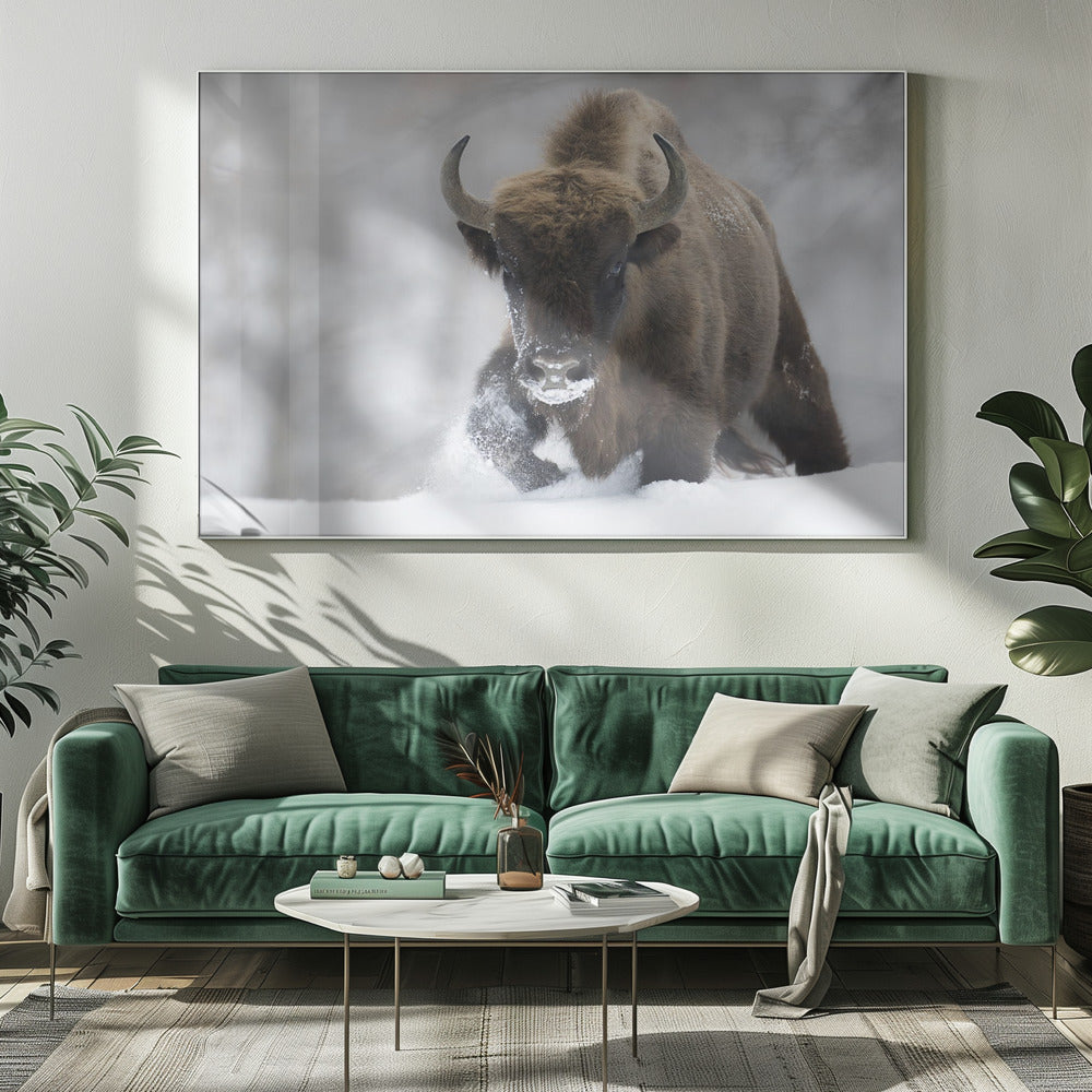 Verwilderd | Canvas