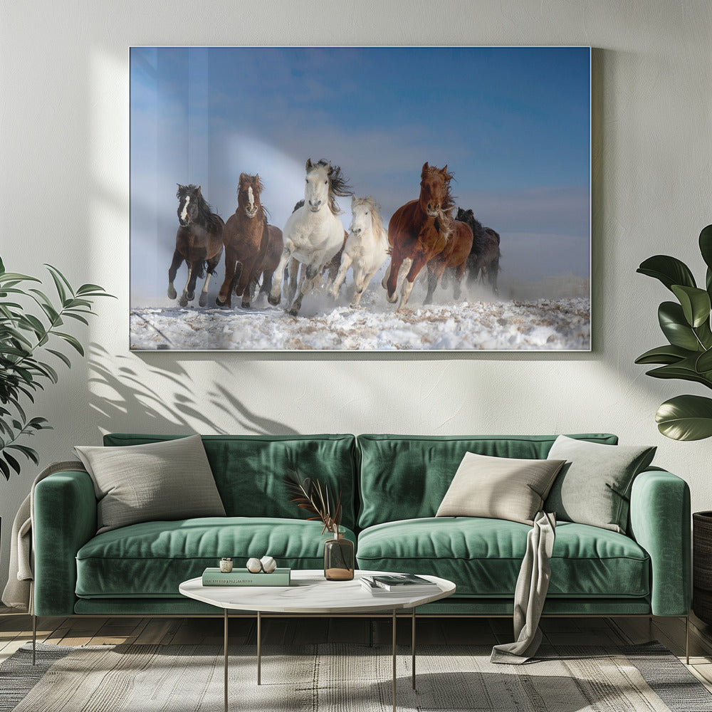 Mongoolse paarden | Canvas