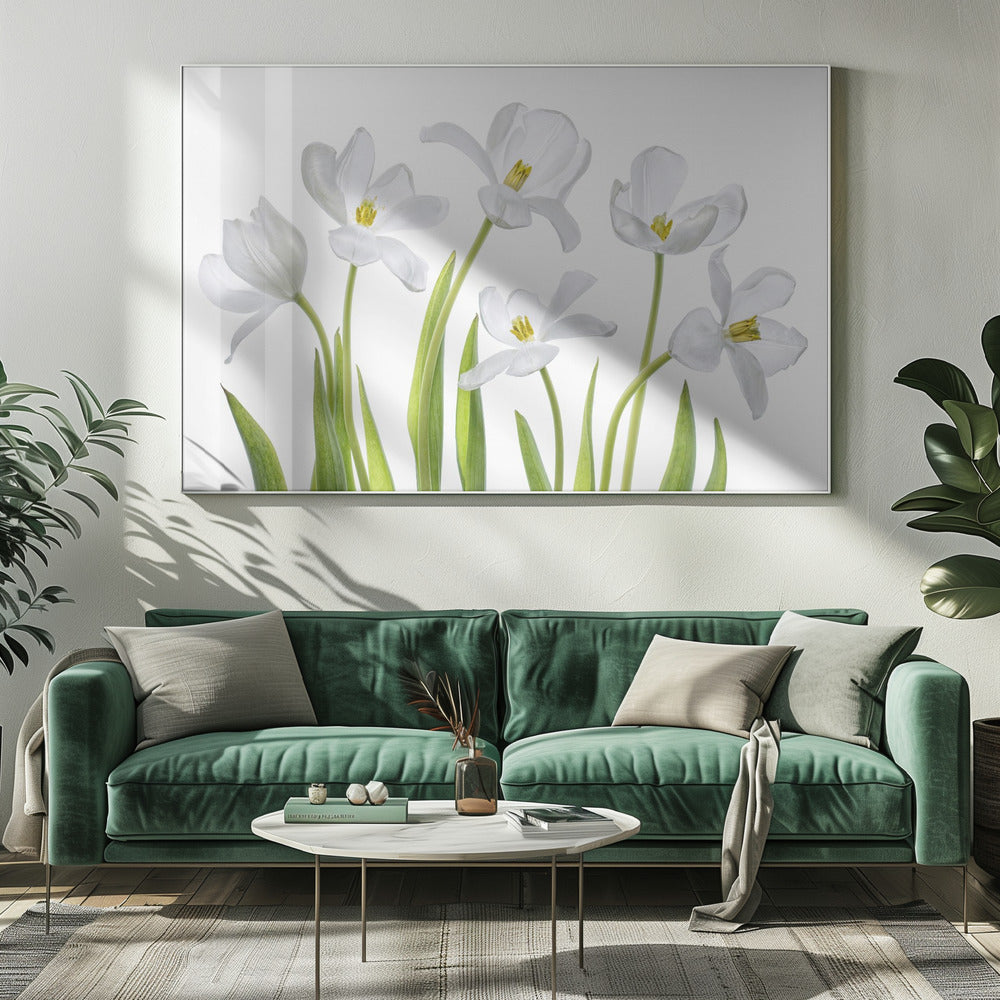 Witte Tulpen | Canvas