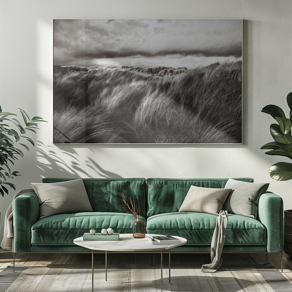 Duinen van gras | Canvas