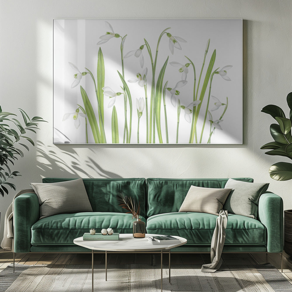 Eerste sneeuwklokjes | Canvas