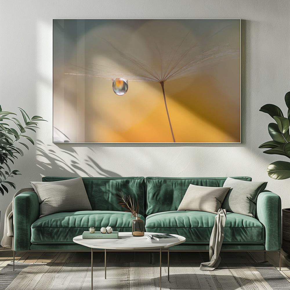 Kleine Nachtmuziek... | Canvas