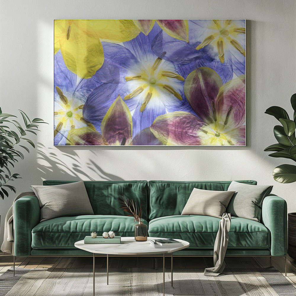 Tulpen | Canvas