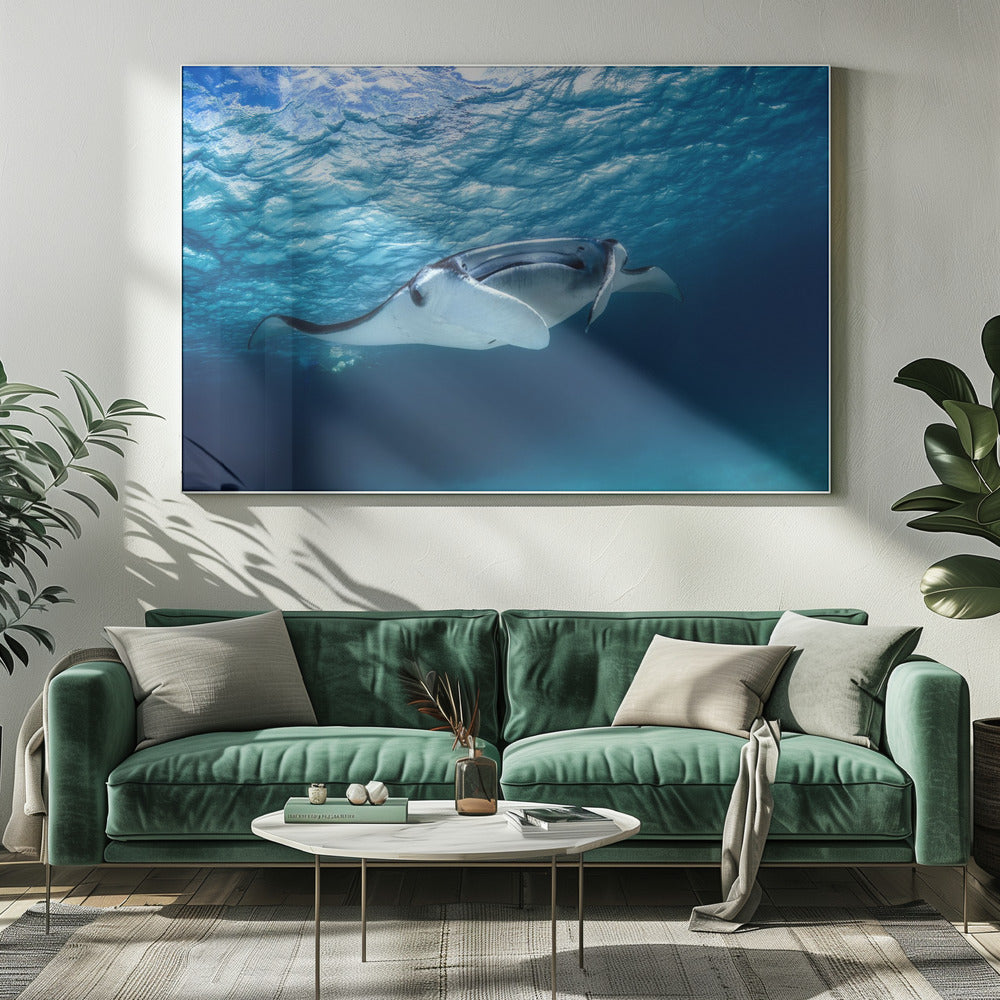 Mantarog | Canvas