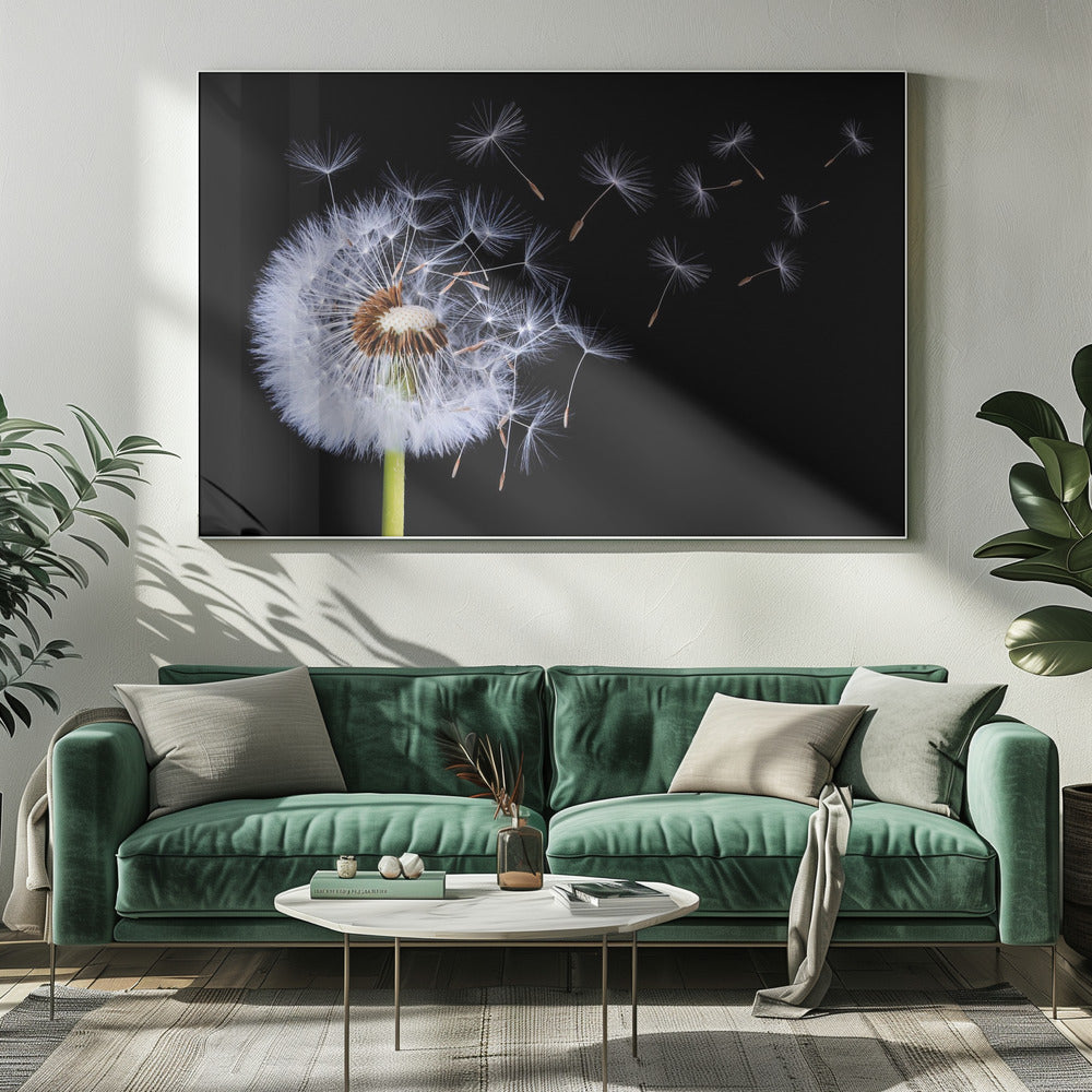 Paardenbloem waait | Canvas