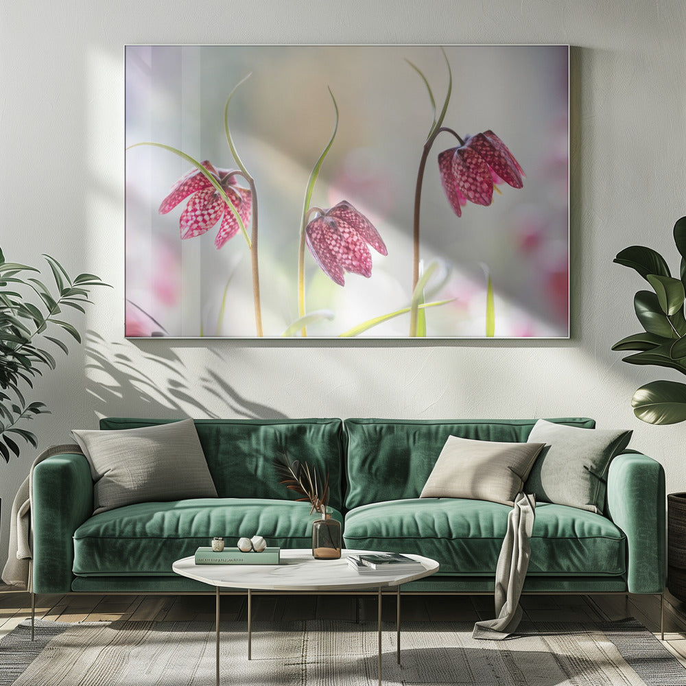 Slangenkopparelmoervlinder | Canvas