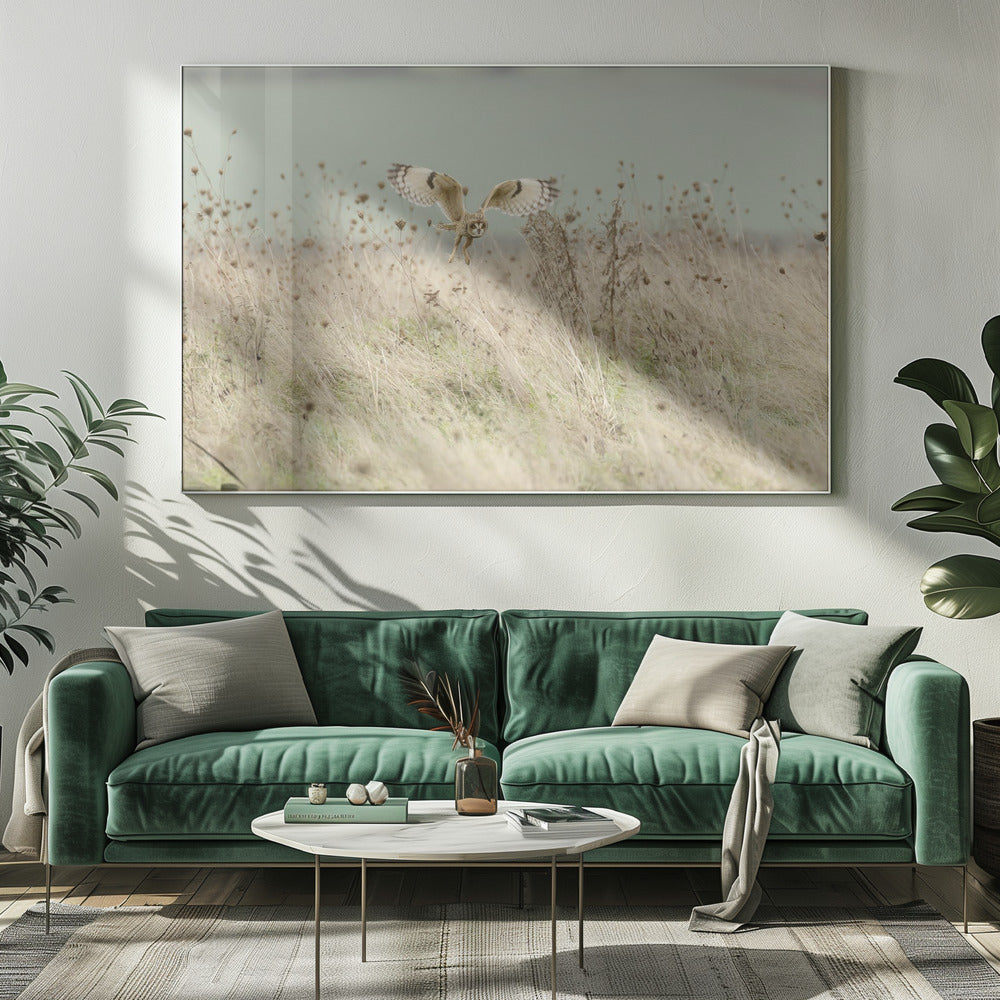 Jacht op velduil | Canvas