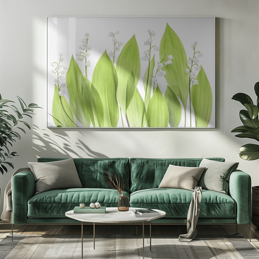 Lelietje-van-dalen | Canvas