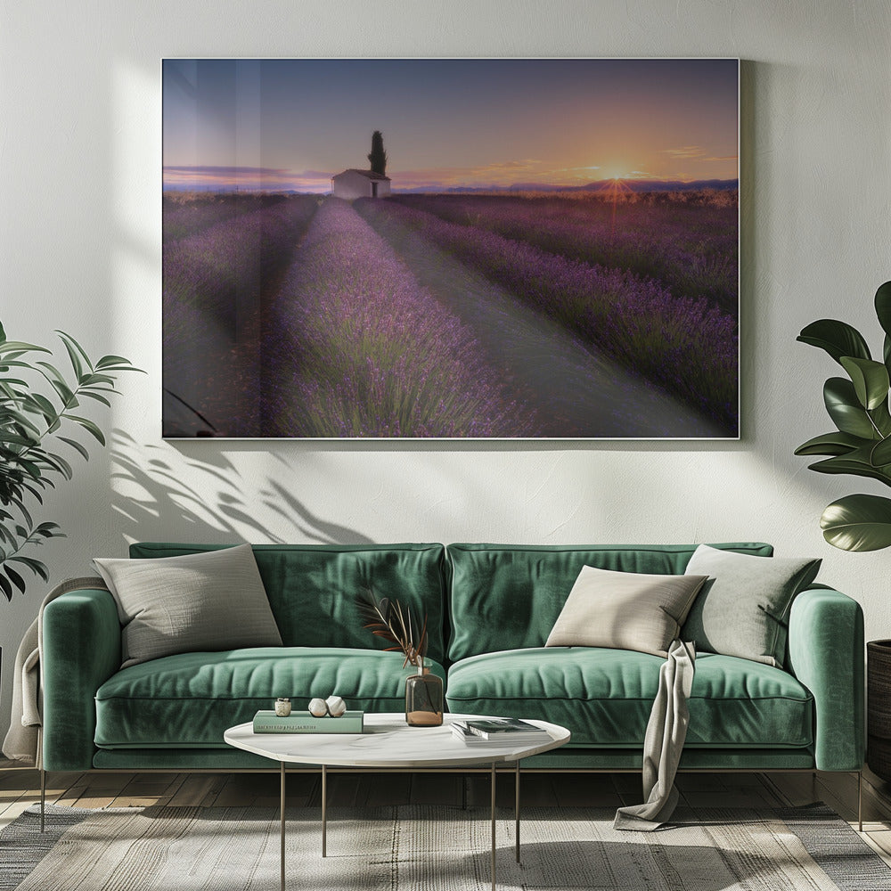 Provence Lavendel | Canvas