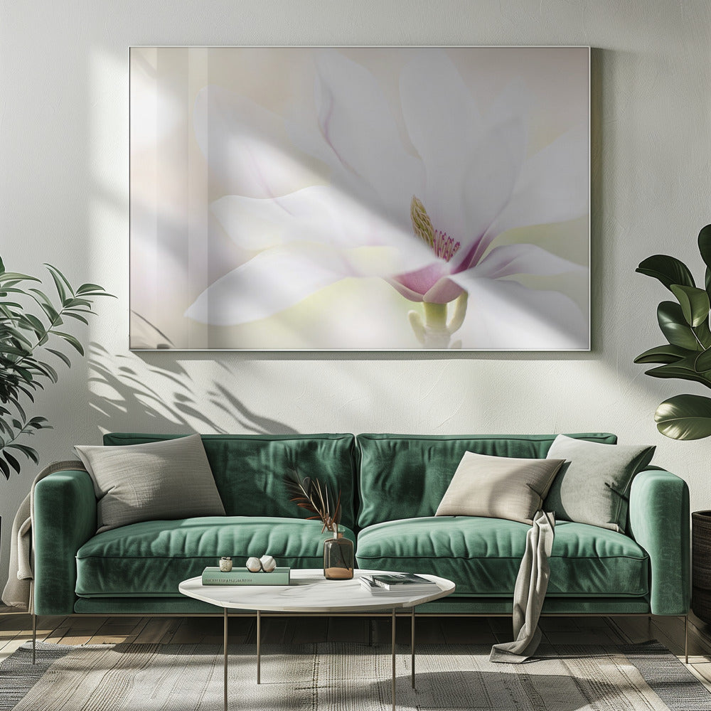 Zuiverheid | Canvas