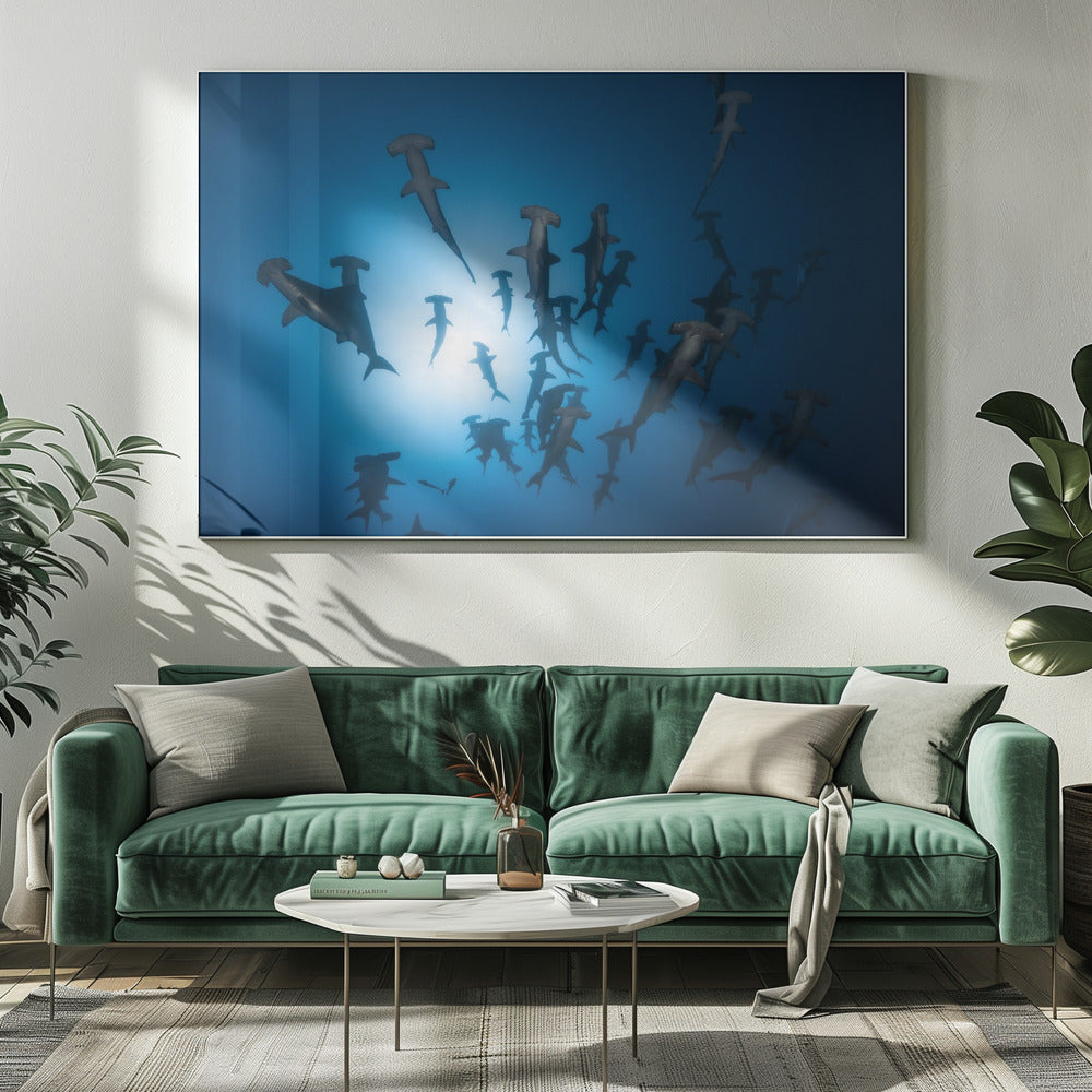 Hamerhaai - Onderwaterfotografie | Canvas