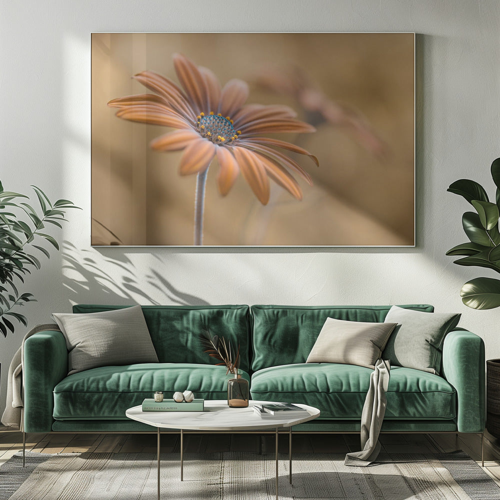 Zomergloed | Canvas