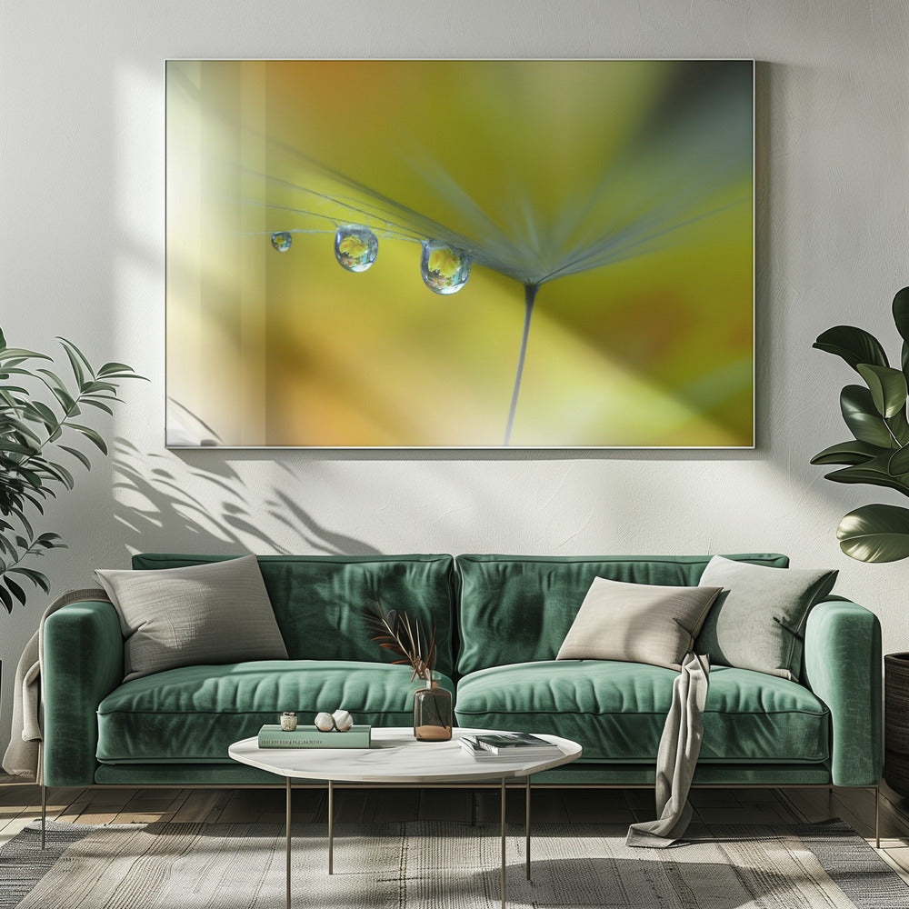 Zonnestraal...III | Canvas