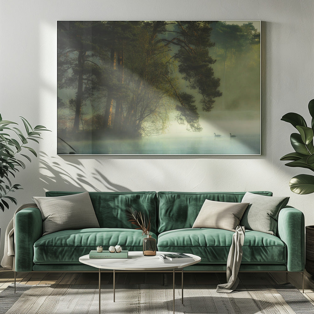Hollands ven | Canvas