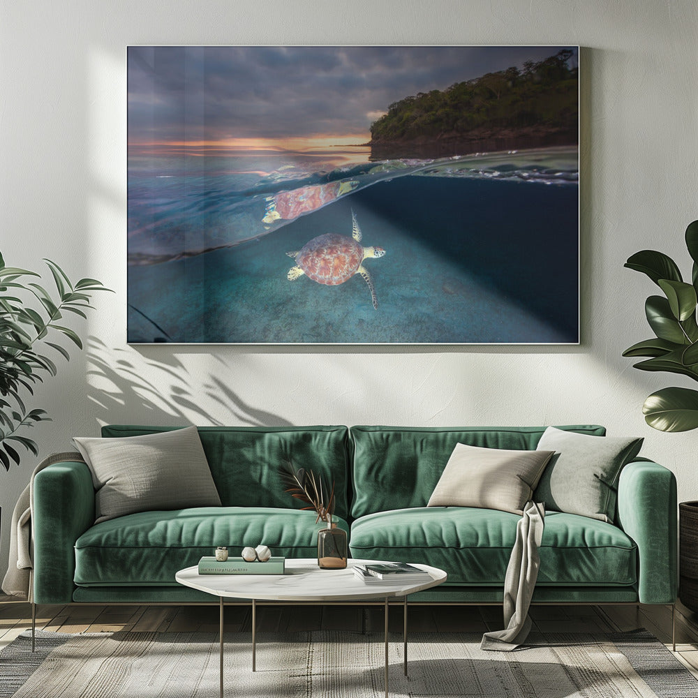 Groene schildpad met zonsondergang | Canvas