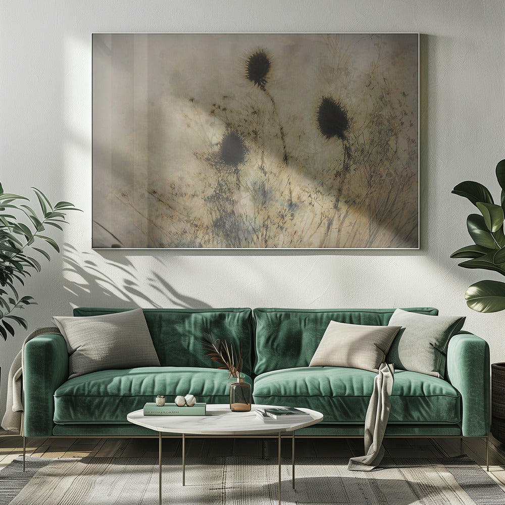 Zaaddozen | Canvas