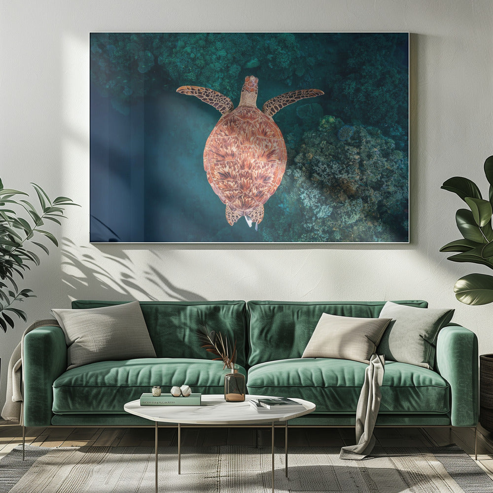 Vliegen over het rif | Canvas