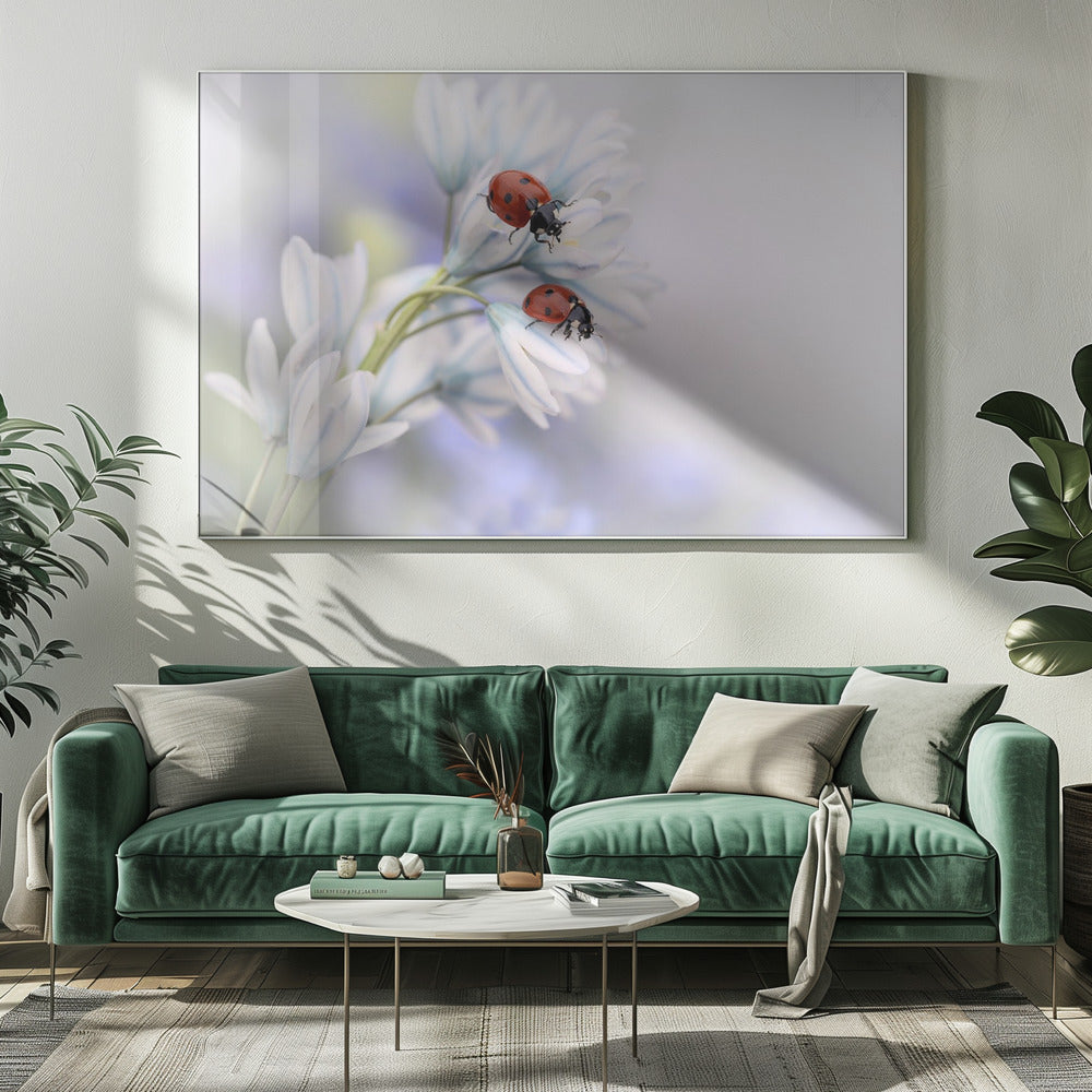Lieveheersbeestjes | Canvas