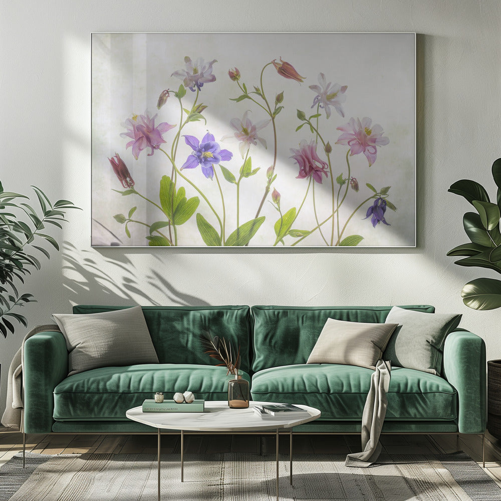 Columbine | Canvas