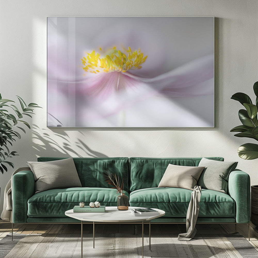 Anemoon | Canvas