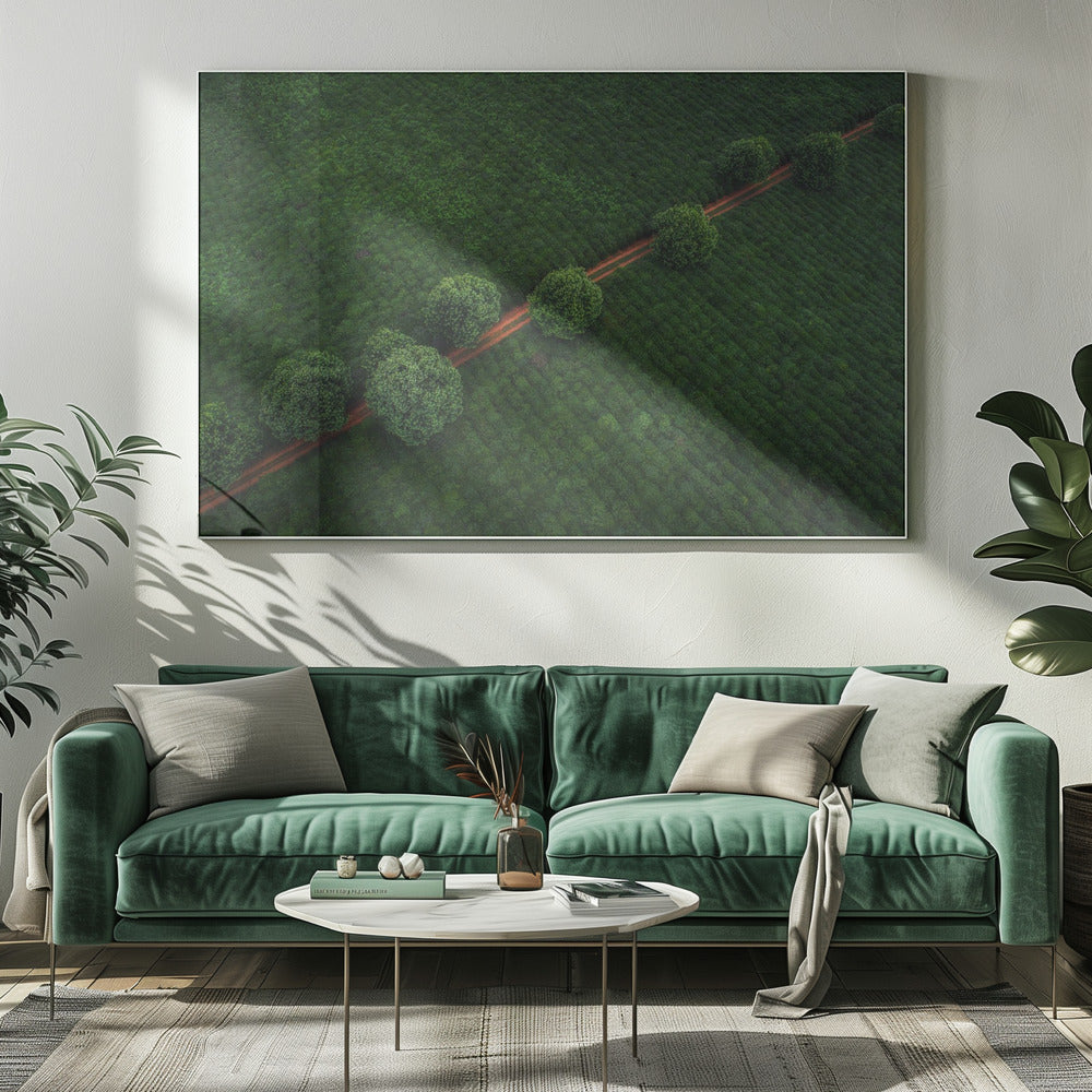 Groene Parels | Canvas